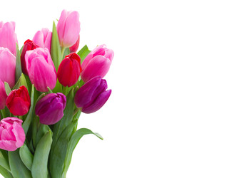 Similar image 22136939