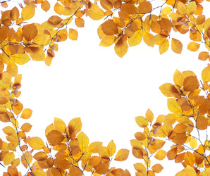 Similar image 22136940