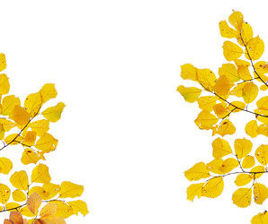 Similar image 22136942