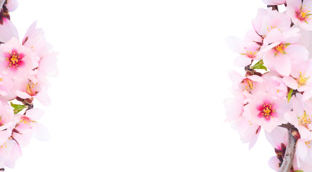 Similar image 22136943