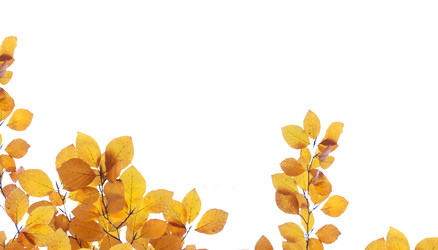 Similar image 22136944