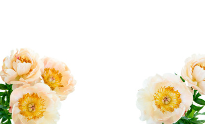 Similar image 22136945