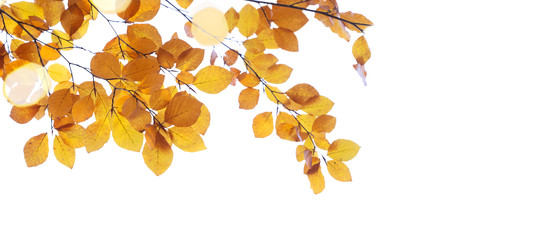 Similar image 22137114