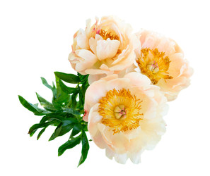 Similar image 22137115