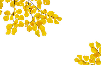 Similar image 22137116