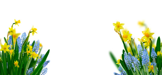 Similar image 22137118