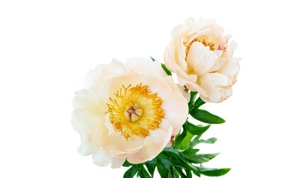 Similar image 22137120