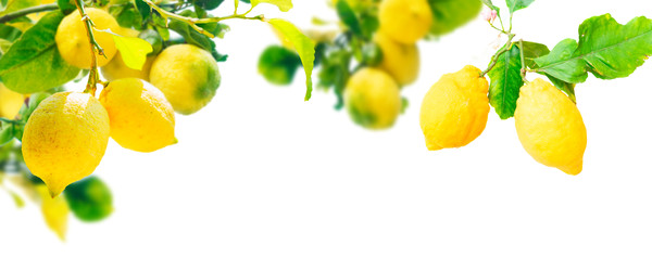 Similar image 22137121