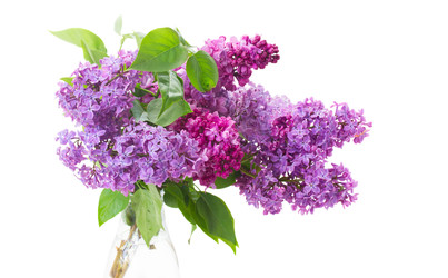 Similar image 22137122