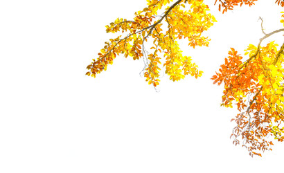 Similar image 22137123