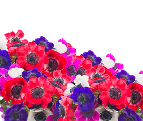 Similar image 22137124