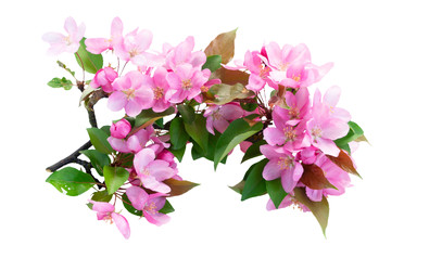 Similar image 22137125