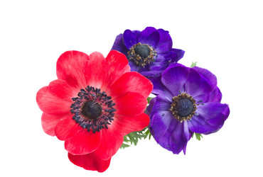 Similar image 22137126