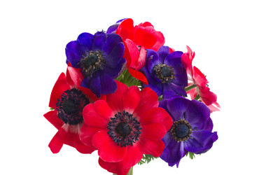 Similar image 22137128