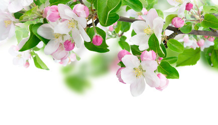 Similar image 22137129