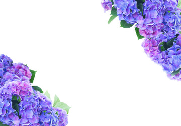 Similar image 22137130