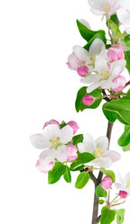 Similar image 22137131