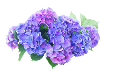 Similar image 22137132