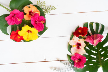 Similar image 22137137