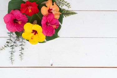 Similar image 22137139