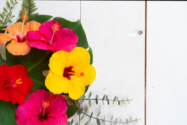 Similar image 22137141