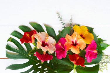 Similar image 22137143