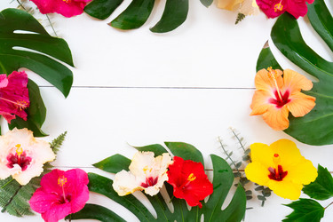 Similar image 22137145