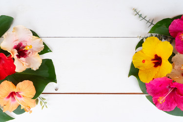 Similar image 22137149