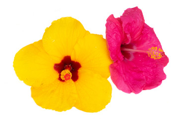 Similar image 22137151