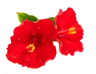 Similar image 22137153