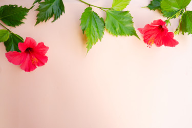 Similar image 22137154