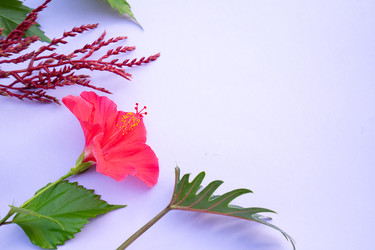 Similar image 22137156