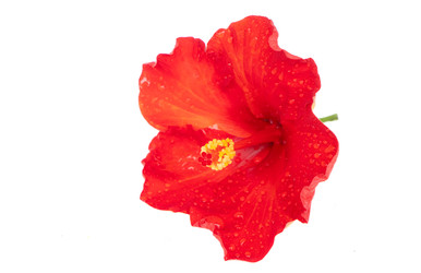 Similar image 22137157