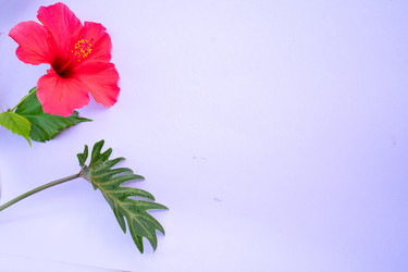 Similar image 22137374