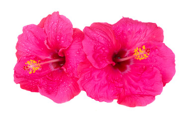 Similar image 22137375