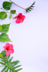 Similar image 22137376