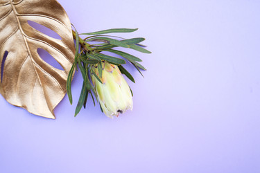 Similar image 22137378