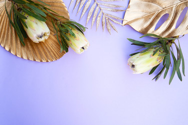 Similar image 22137380