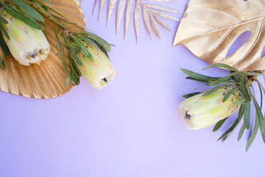 Similar image 22137382