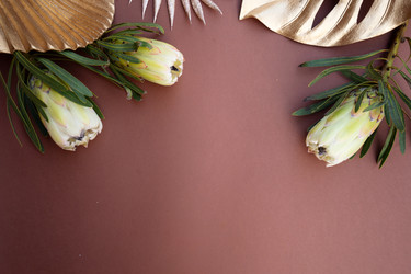 Similar image 22137388