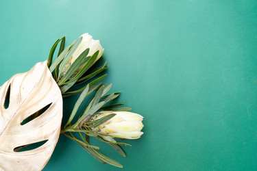 Similar image 22137392