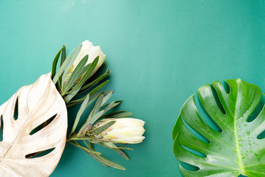 Similar image 22137400