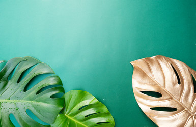 Similar image 22137402