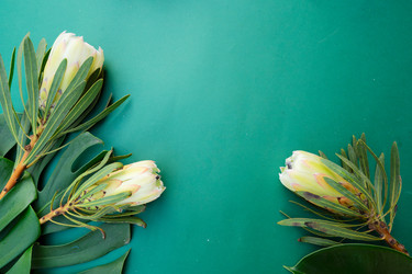 Similar image 22137409