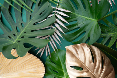 Similar image 22137410