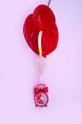 Similar image 22136911