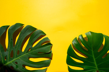 Similar image 22136952