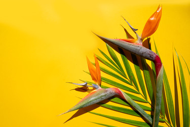 Similar image 22136954