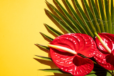 Similar image 22136956