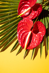 Similar image 22136958